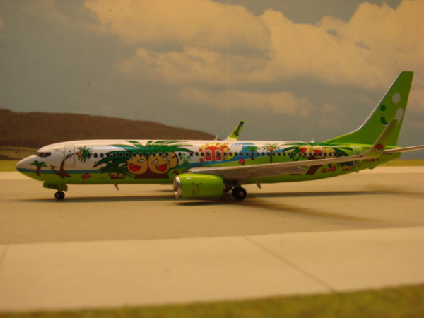 Boeing 737-800 Solaseed Air